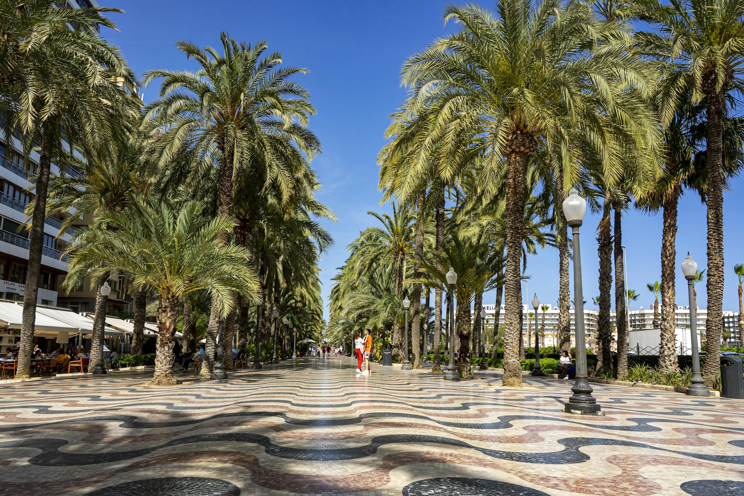 Iconic promenade in Alicante, Spain lined with palm trees and vibrant tiles.